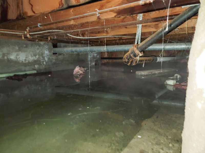 Basement Water Cleanup in Chandler, AZ