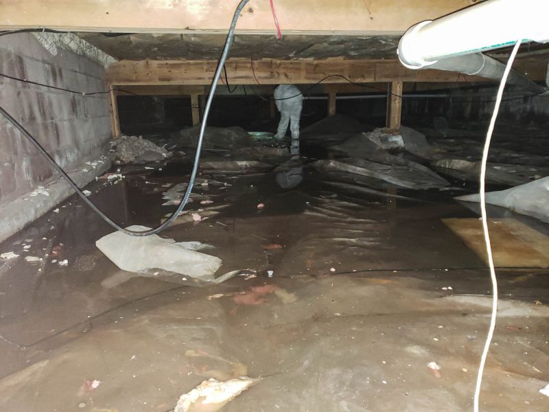 Basement Water Cleanup in Mesa, AZ